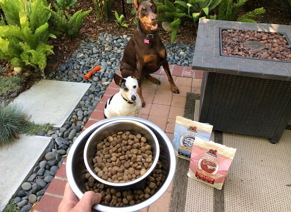 Testing out RedBarn dog food at home with a review