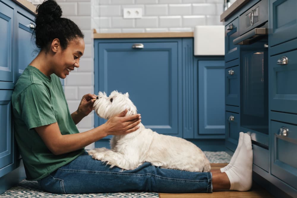 Dog Skin and Coat Supplements: 13 Top Options for Itchy Pups