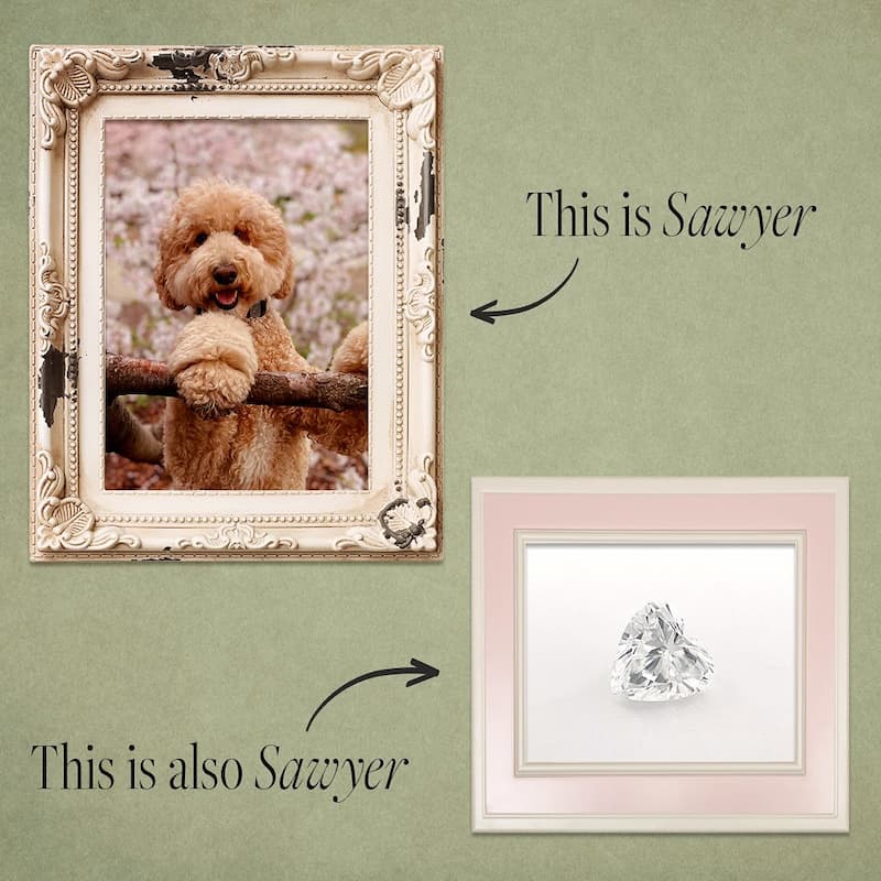 image of framed photo of dog beside a framed photo of a lab-grown diamond, which originated from a pet's ashes or fur
