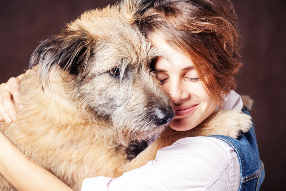 your senior dog between 7 and 9 years