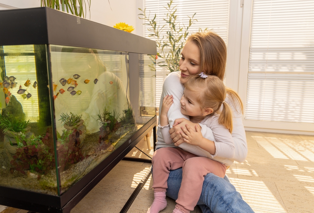 Top 9 Fish Tanks of 2025
