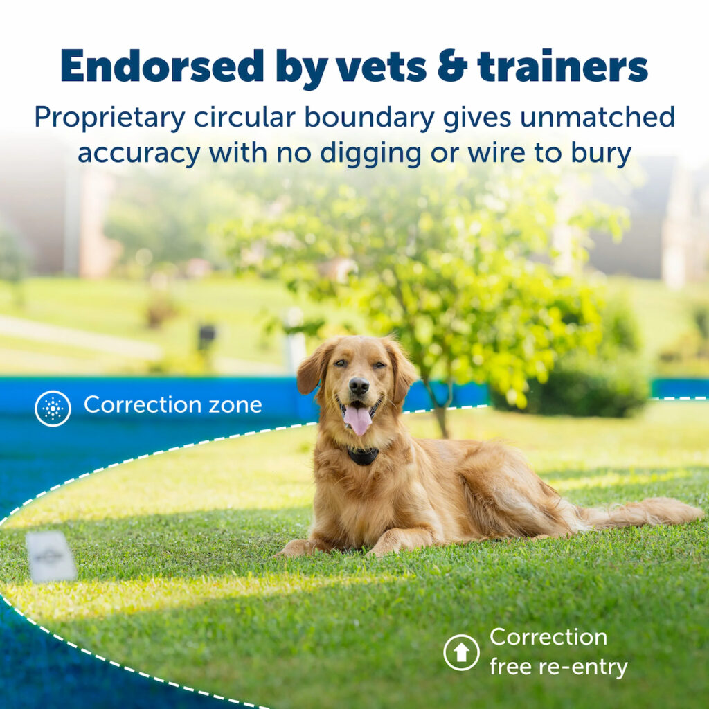 golden retreiver laying in grass with PetSafe verbiage over image 