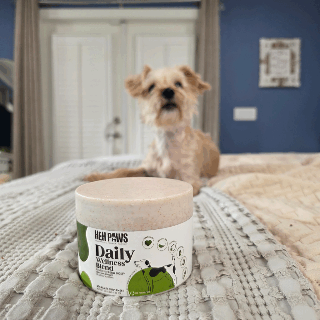 Dog sitting behind HEH Paws Daily Wellness Blend jar.
