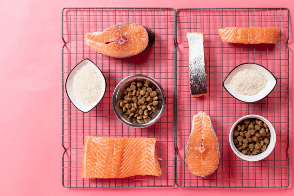 Fresh salmon, rice, and Cuddly dog food.